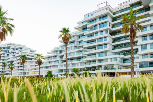 seventh heaven albarari